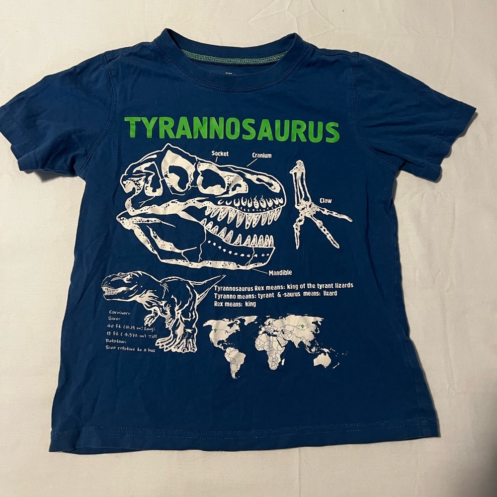 Carter kids dinosaur tee shirt T-Rex